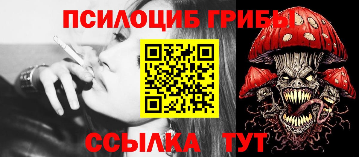 Псилоцибиновые грибы ЛСД  Вход с VPN  Галлюциногенные грибы прущие грибы  Осинники 